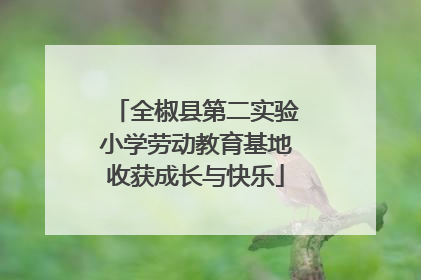 全椒县第二实验小学劳动教育基地收获成长与快乐