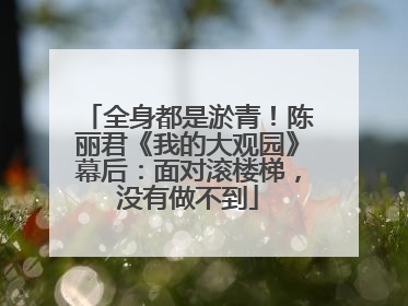全身都是淤青！陈丽君《我的大观园》幕后：面对滚楼梯，没有做不到