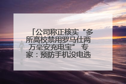 公司称正核实“多所高校禁用罗马仕两万毫安充电宝” 专家：预防手机没电选中等体积产品即可