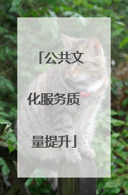 公共文化服务质量提升