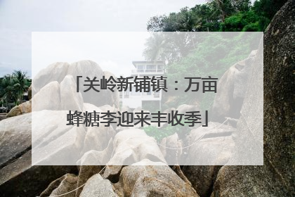 关岭新铺镇：万亩蜂糖李迎来丰收季