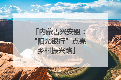 内蒙古兴安盟：“阳光银行”点亮乡村振兴路