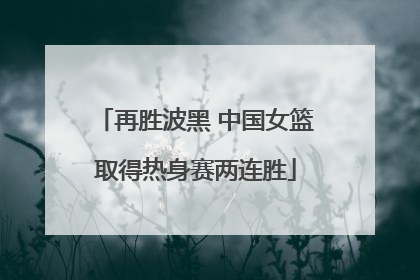 再胜波黑 中国女篮取得热身赛两连胜