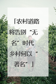 农村道路将告别“无名”时代 乡村何以“著名”