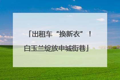 出租车“换新衣”！白玉兰绽放申城街巷