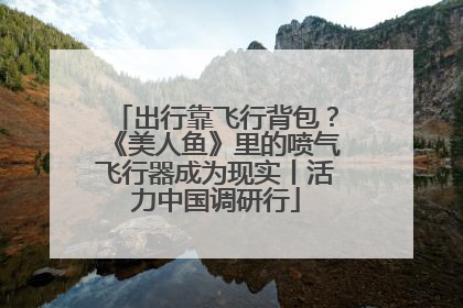 出行靠飞行背包？《美人鱼》里的喷气飞行器成为现实丨活力中国调研行