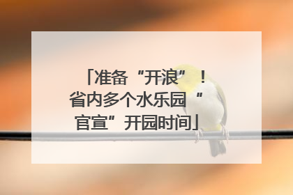 准备“开浪”！省内多个水乐园“官宣”开园时间