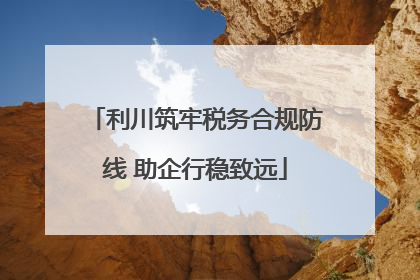 利川筑牢税务合规防线 助企行稳致远