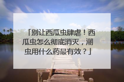 别让西瓜虫肆虐！西瓜虫怎么彻底消灭，潮虫用什么药最有效？