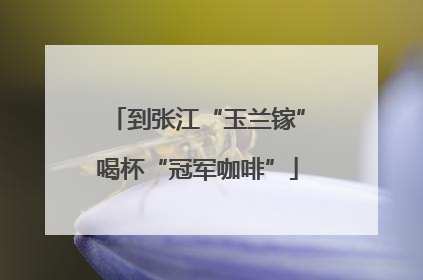 到张江“玉兰镓”喝杯“冠军咖啡”