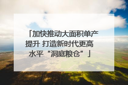 加快推动大面积单产提升 打造新时代更高水平“洞庭粮仓”