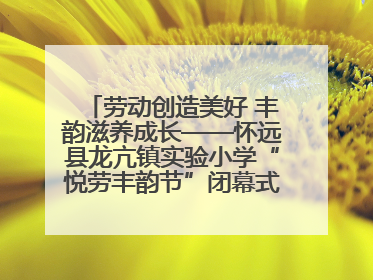 劳动创造美好 丰韵滋养成长——怀远县龙亢镇实验小学“悦劳丰韵节”闭幕式圆满举行