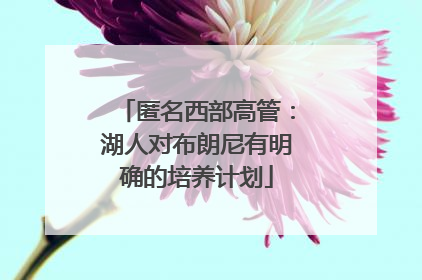 匿名西部高管：湖人对布朗尼有明确的培养计划