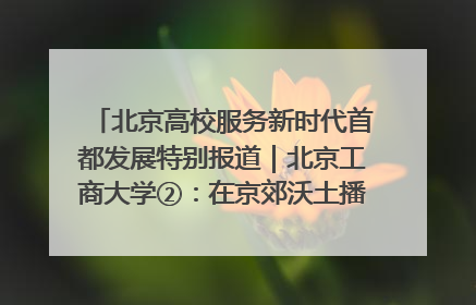 北京高校服务新时代首都发展特别报道｜北京工商大学②：在京郊沃土播撒科技创新的种子