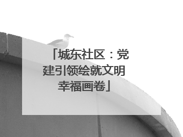 城东社区：党建引领绘就文明幸福画卷
