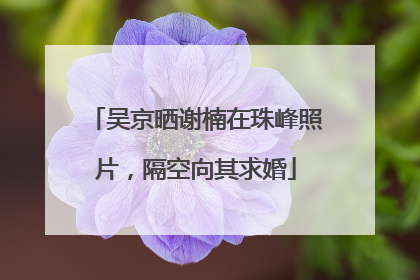 吴京晒谢楠在珠峰照片，隔空向其求婚