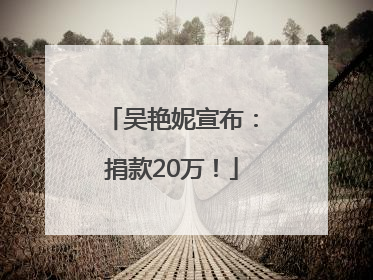 吴艳妮宣布：捐款20万！