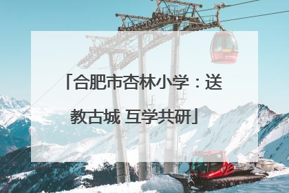 合肥市杏林小学：送教古城 互学共研