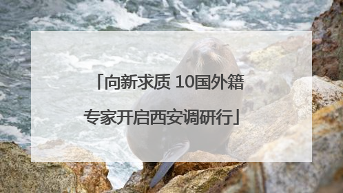 向新求质 10国外籍专家开启西安调研行