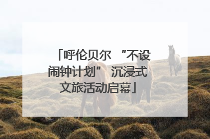 呼伦贝尔 “不设闹钟计划” 沉浸式文旅活动启幕