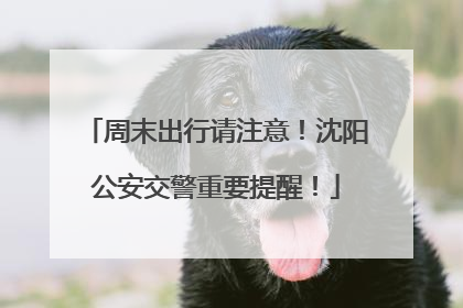 周末出行请注意！沈阳公安交警重要提醒！