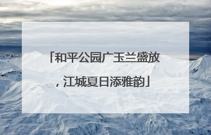 和平公园广玉兰盛放，江城夏日添雅韵