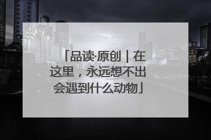 品读·原创｜在这里，永远想不出会遇到什么动物