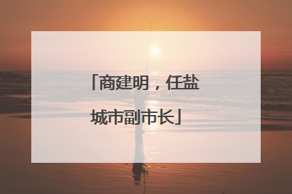 商建明，任盐城市副市长