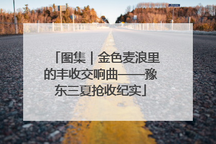 图集｜金色麦浪里的丰收交响曲——豫东三夏抢收纪实