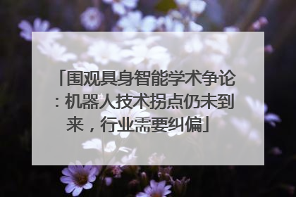 围观具身智能学术争论：机器人技术拐点仍未到来，行业需要纠偏