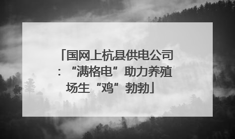 国网上杭县供电公司：“满格电”助力养殖场生“鸡”勃勃