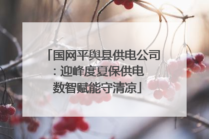 国网平舆县供电公司：迎峰度夏保供电  数智赋能守清凉