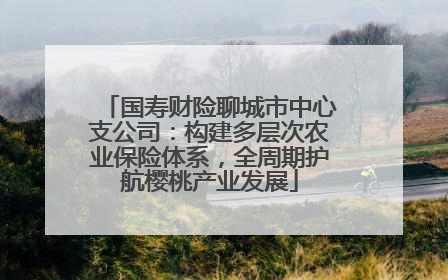 国寿财险聊城市中心支公司：构建多层次农业保险体系，全周期护航樱桃产业发展