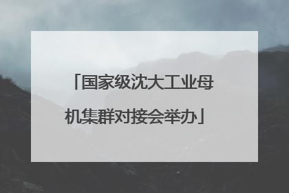 国家级沈大工业母机集群对接会举办