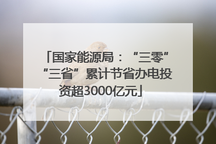 国家能源局：“三零”“三省”累计节省办电投资超3000亿元