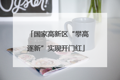 国家高新区“攀高逐新”实现开门红