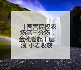 国营民权农场第三分场：金穗卷起千层浪 小麦收获正当时