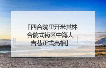 四合院里开米其林 合院式街区中海大吉巷正式亮相