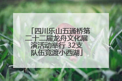 四川乐山五通桥第二十二届龙舟文化展演活动举行 32支队伍竞渡小西湖