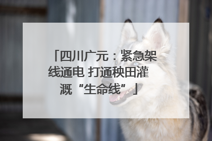 四川广元：紧急架线通电 打通秧田灌溉“生命线”