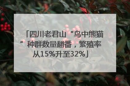 四川老君山“鸟中熊猫”种群数量翻番，繁殖率从15%升至32%