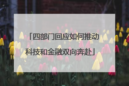 四部门回应如何推动科技和金融双向奔赴