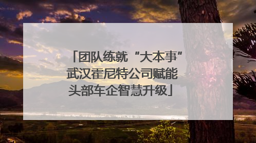团队练就“大本事” 武汉霍尼特公司赋能头部车企智慧升级