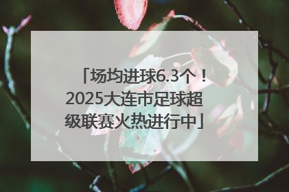 场均进球6.3个！2025大连市足球超级联赛火热进行中