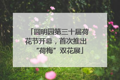 圆明园第三十届荷花节开幕，首次推出“荷梅”双花展