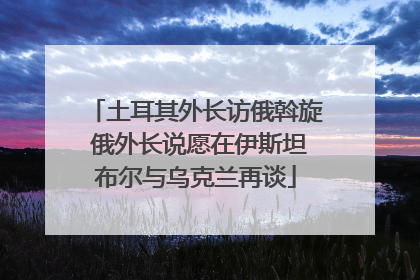土耳其外长访俄斡旋 俄外长说愿在伊斯坦布尔与乌克兰再谈