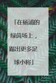 在杨浦的绿茵场上，踢出更多足球小将