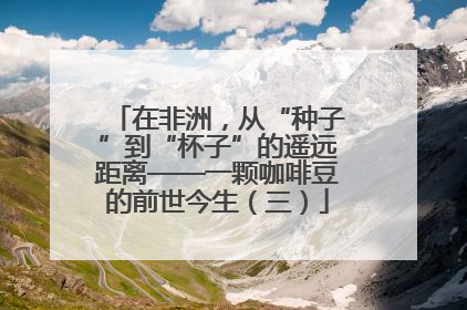 在非洲，从“种子”到“杯子”的遥远距离——一颗咖啡豆的前世今生（三）