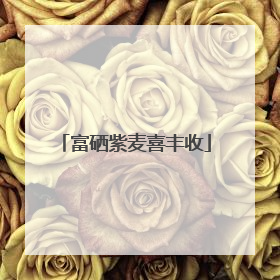 富硒紫麦喜丰收