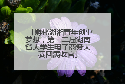 孵化湖湘青年创业梦想，第十二届湖南省大学生电子商务大赛圆满收官